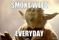 Avatar de ScorpionOscuro