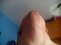 Avatar de alex7882