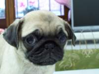 Avatar de tuputamalder