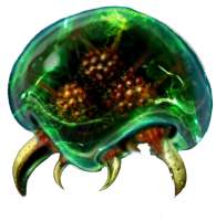 Avatar de Paposman