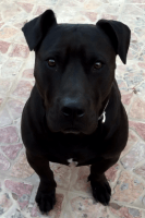 Avatar de churusanfer