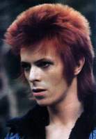 Avatar de Ziggy