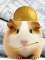 Avatar de CobayaLoos