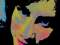 Avatar de ArbolCaro 