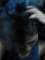 Avatar de Fabi-Oh!