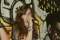 Avatar de ScarsOfShadow